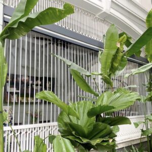 CỬA XẾP LÁ NHỰA TẠI VĨNH CỬU